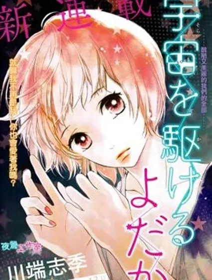 翱翔於天際的夜鷹