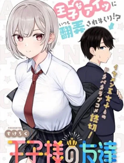 王子大人的朋友