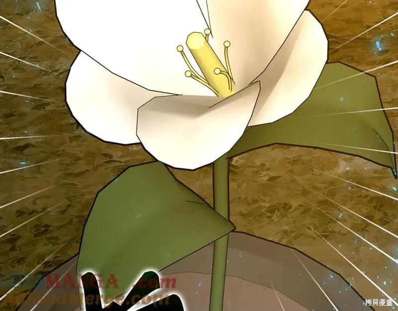 圣子是什么狗屁，这是现代医学的力量,第117话,第165张