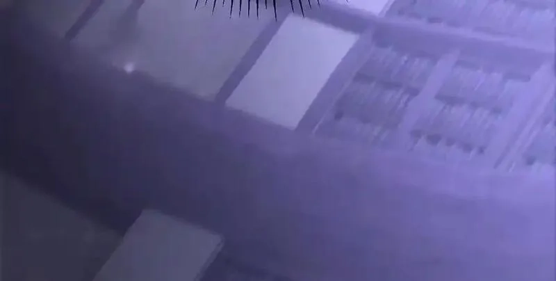 我，最强BOSS,36,第155张