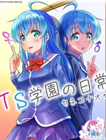 TS學園的日常封面