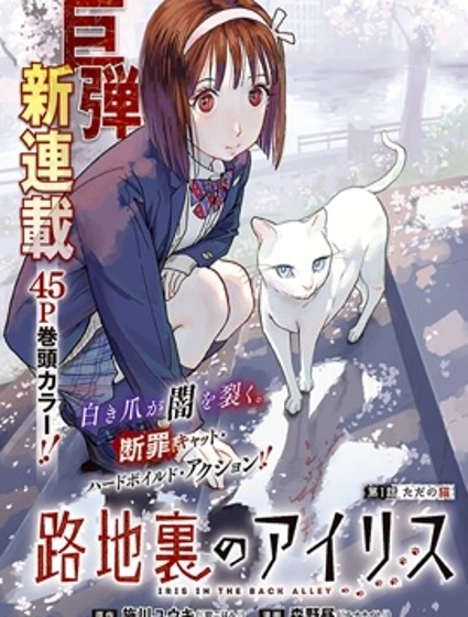 巷子裡的艾莉絲封面