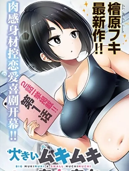 大硬筋与小肉肉