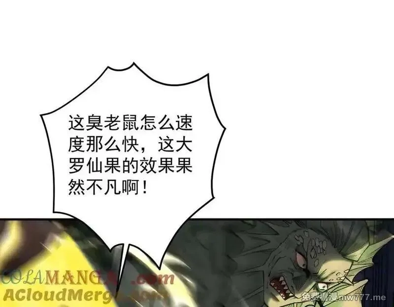 遇强则强，我的修为无上限,第17话 偷吃大罗仙果！,第49张