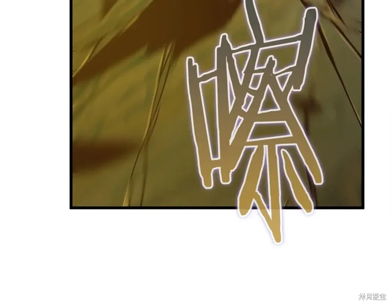 作为SSS级仓库角色生存,第38话,第228张