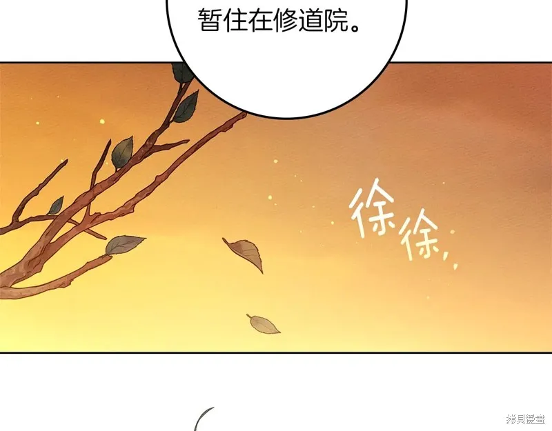 在橡树下,第114话,第205张