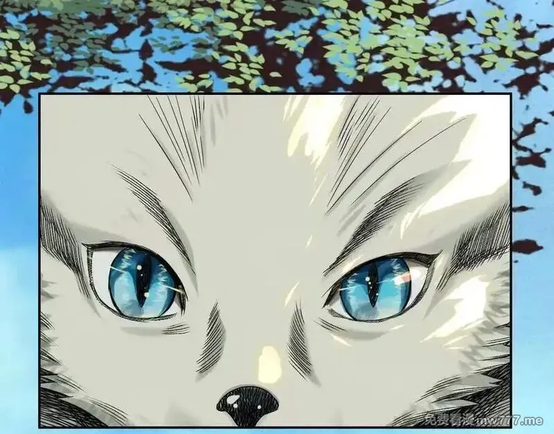 异兽迷城,逝者已逝,第122张