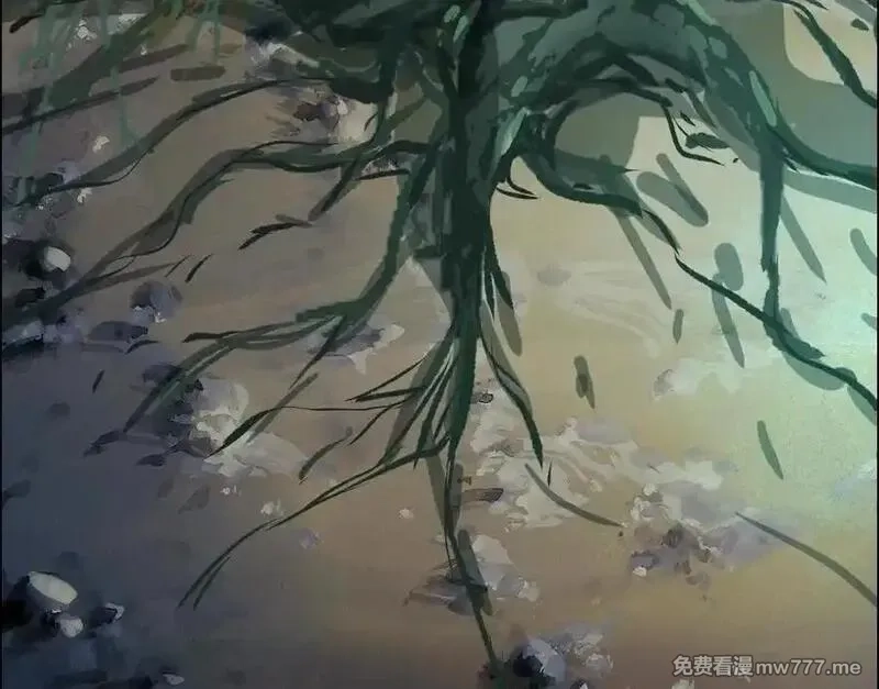 异兽迷城,诡秘树洞,第43张