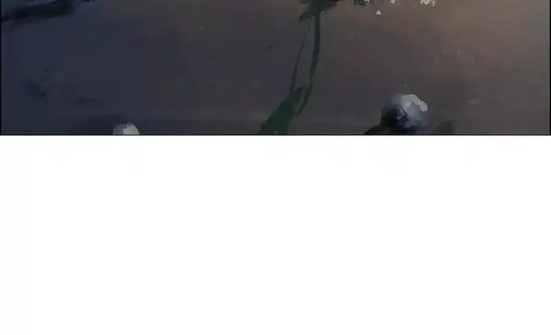 异兽迷城,诡秘树洞,第44张