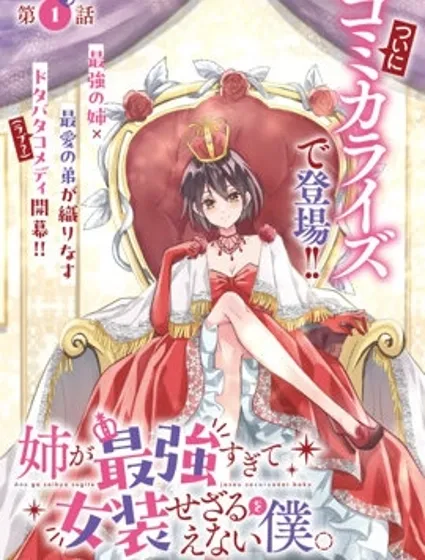 姐姐太強而不得不女裝的我