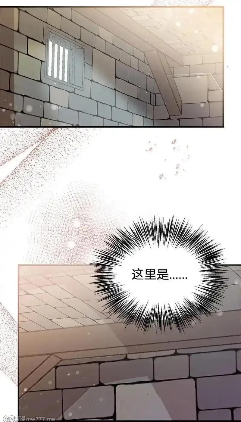 姐姐捡回了男主,99 反派,第94张