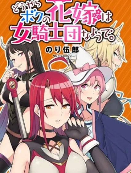 看来我的新娘是女骑士团