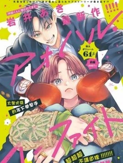 青春搏擊封面
