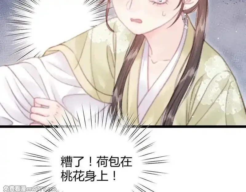 韶华珑：重生之恶妃逆袭,009 私奔,第162张