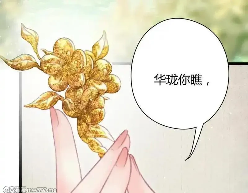 韶华珑：重生之恶妃逆袭,009 私奔,第62张