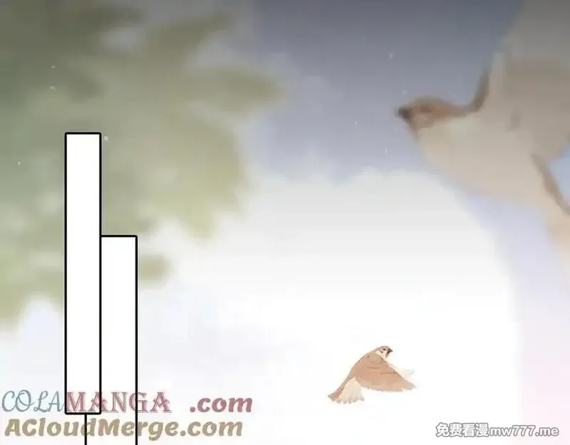 韶华珑：重生之恶妃逆袭,009 私奔,第73张