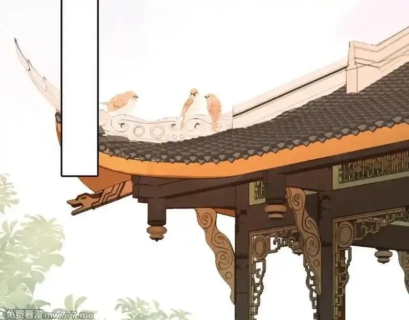 韶华珑：重生之恶妃逆袭,009 私奔,第74张